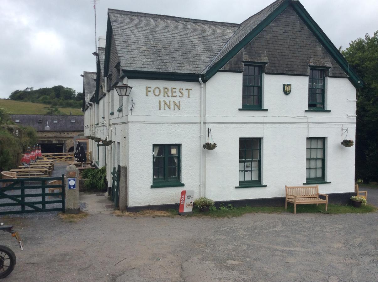 The Forest Inn Dartmoor Yelverton Exteriér fotografie